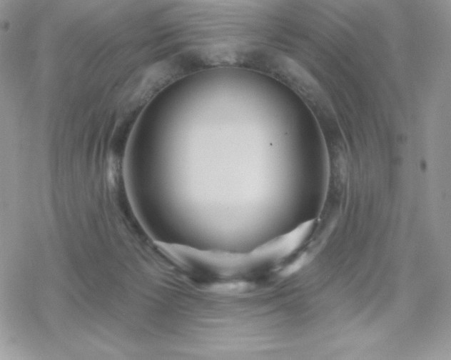 X0000070420125200606121355