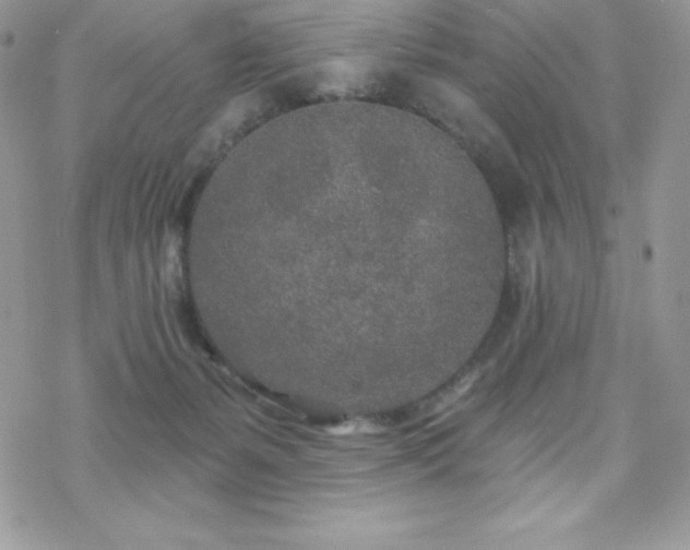 X0000070420127200606121355