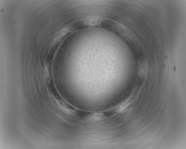 X0000070420128200606121355