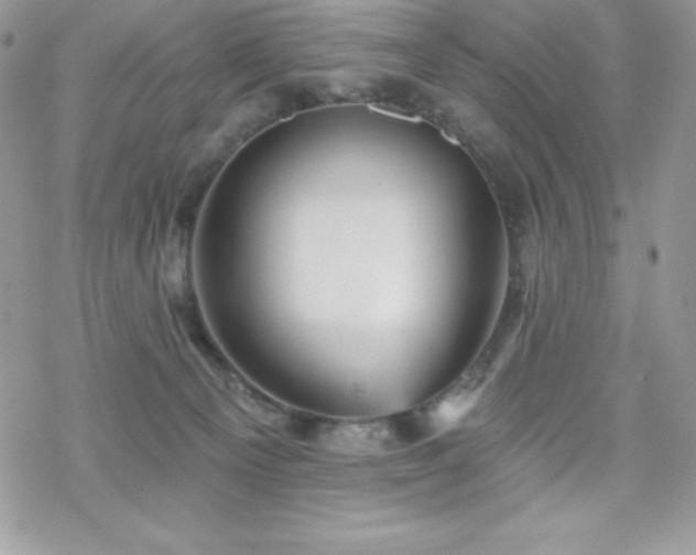 X0000070420129200606121355
