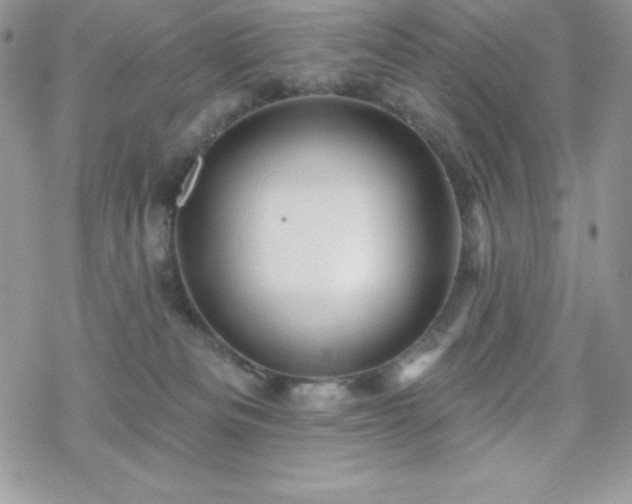 X0000070420133200606121355