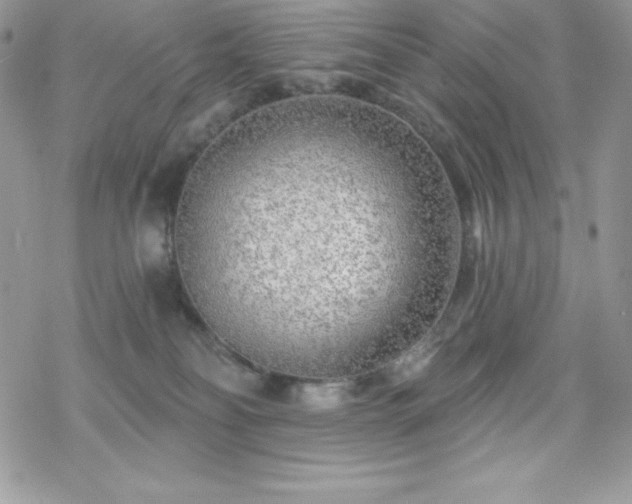 X0000070420134200606121355