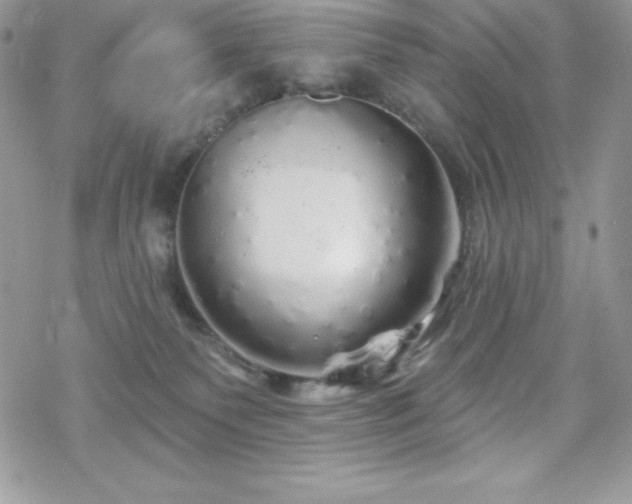 X0000070420135200606121355
