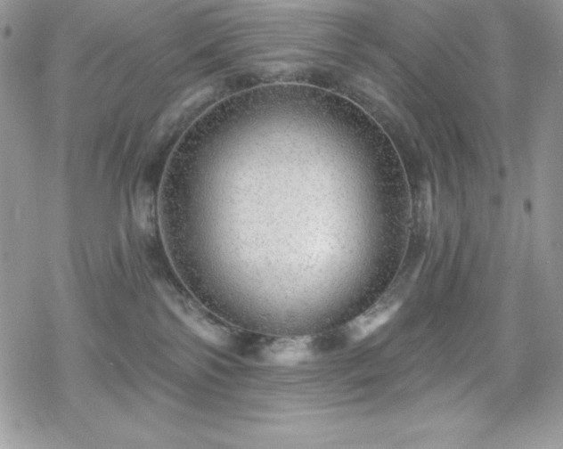 X0000070420138200606121355