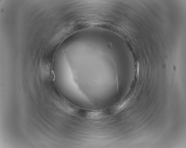 X0000070420139200606121355