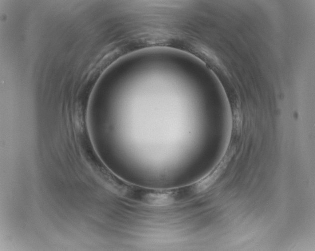 X0000070420170200606121354