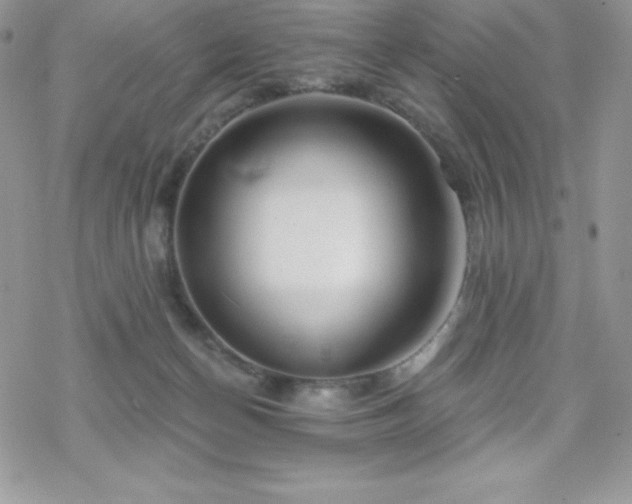 X0000070420174200606121354