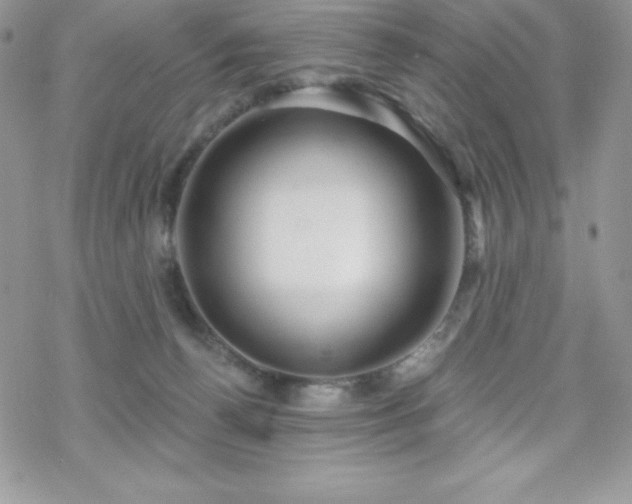 X0000070420176200606121355