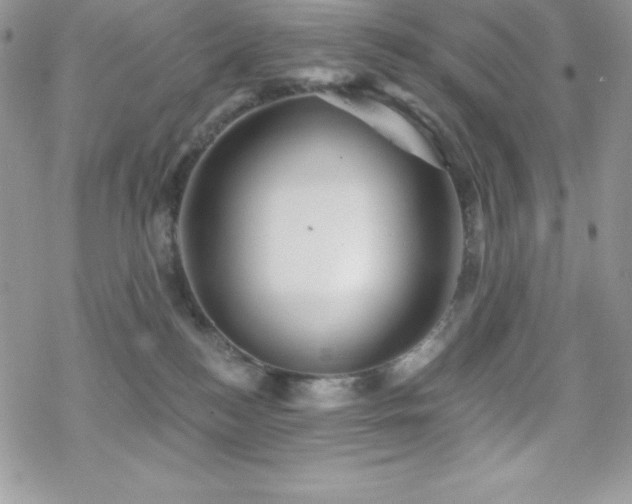 X0000070420184200606121355