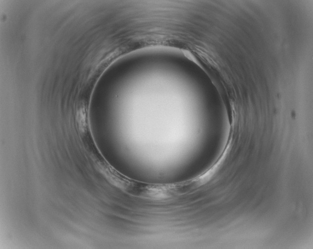 X0000070420190200606121355