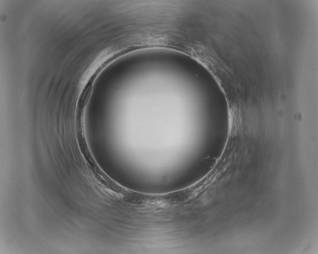 X0000070420195200606121354