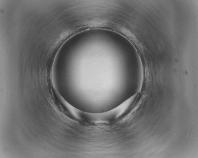 X0000070420201200606121354