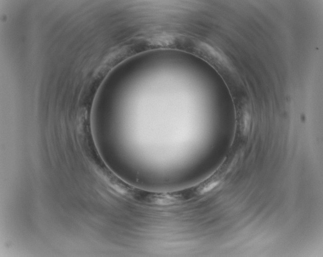 X0000070420229200606121353