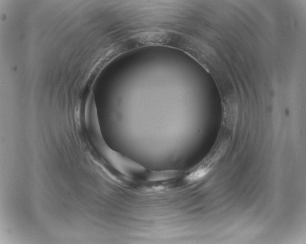 X0000070420239200606121353