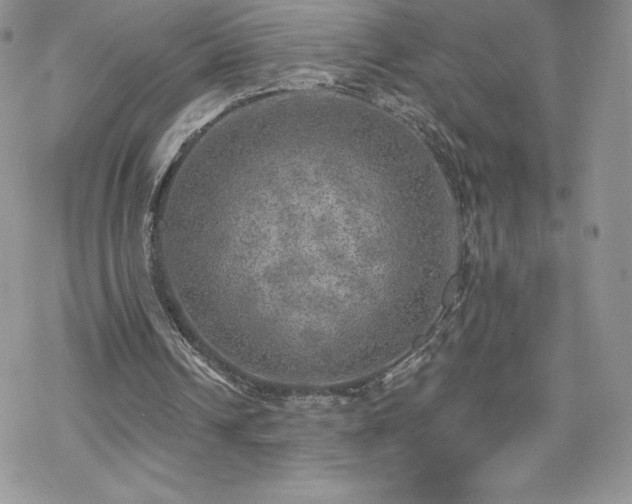 X0000070420242200606121352