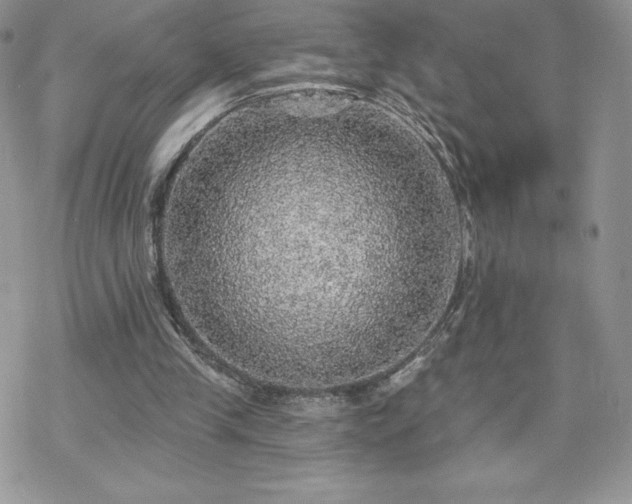 X0000070420245200606121352