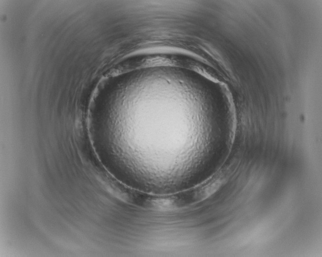 X0000070420265200606121353