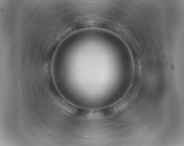 X0000070420270200606121353