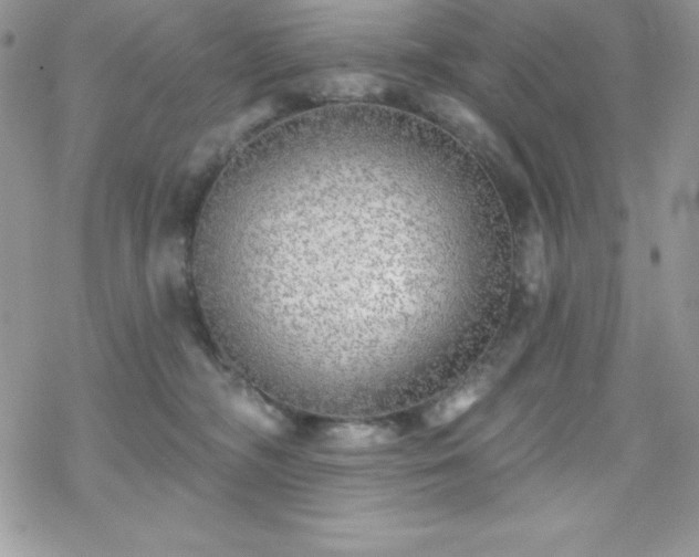X0000070420326200606121352