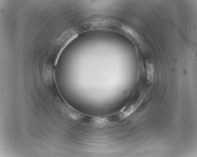 X0000070420333200606121352