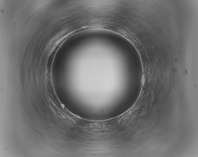 X0000070420338200606121351