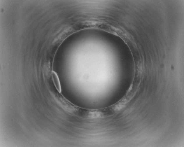 X0000070420376200606121351