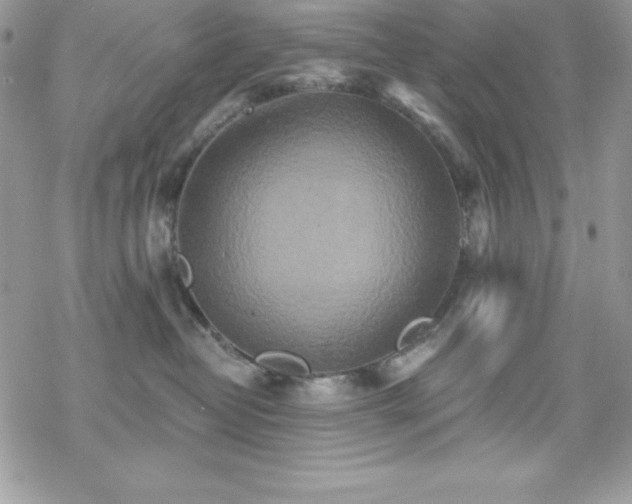 X0000070420382200606121352