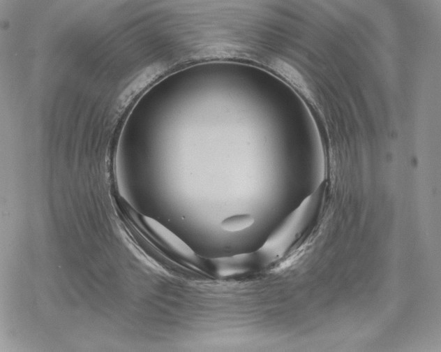X0000070420389200606121351