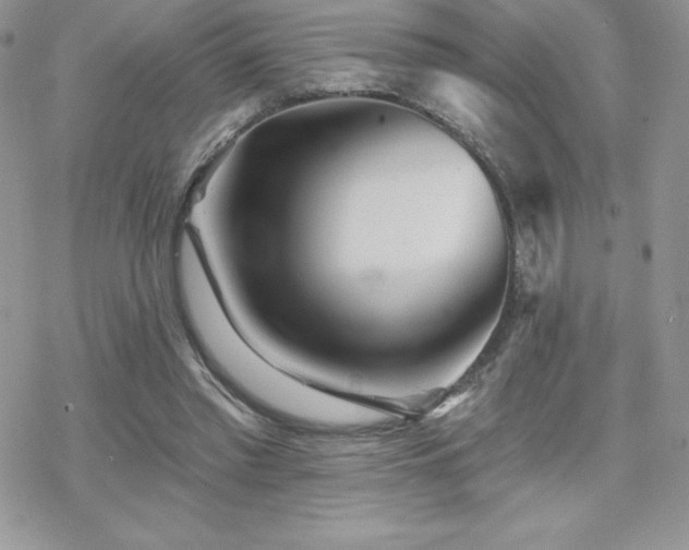X0000070420397200606121351