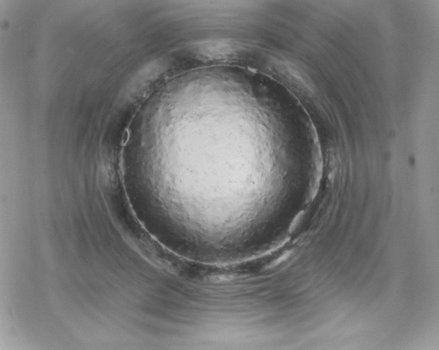 X0000070420408200606121350