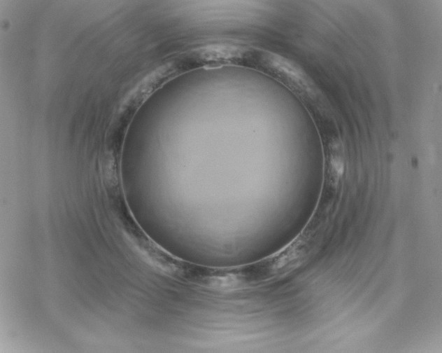 X0000070420411200606121350