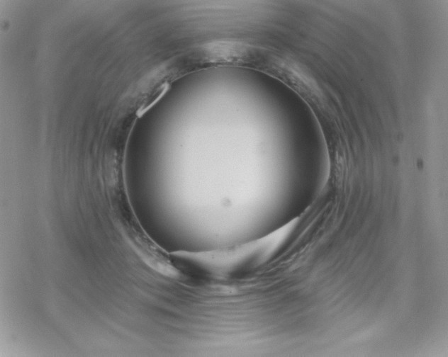 X0000070420413200606121350