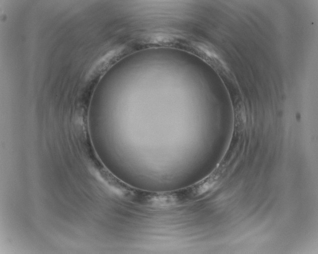X0000070420415200606121350
