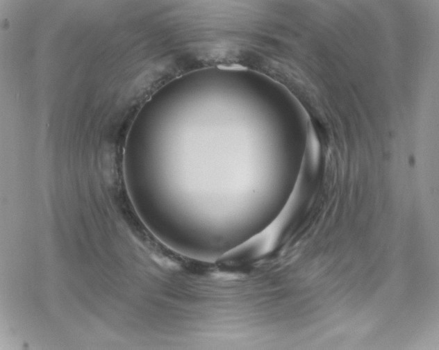 X0000070420416200606121350
