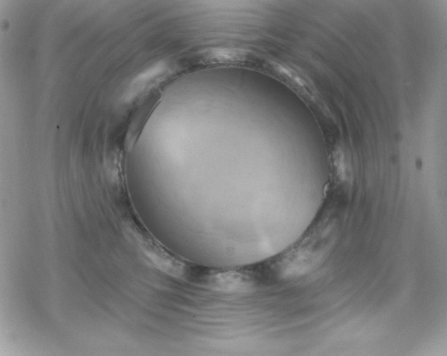 X0000070420423200606121350
