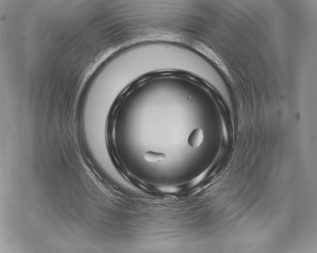 X0000070420436200606121349