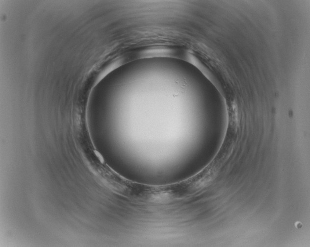 X0000070420456200606121350