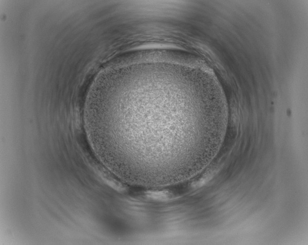 X0000070420457200606121350