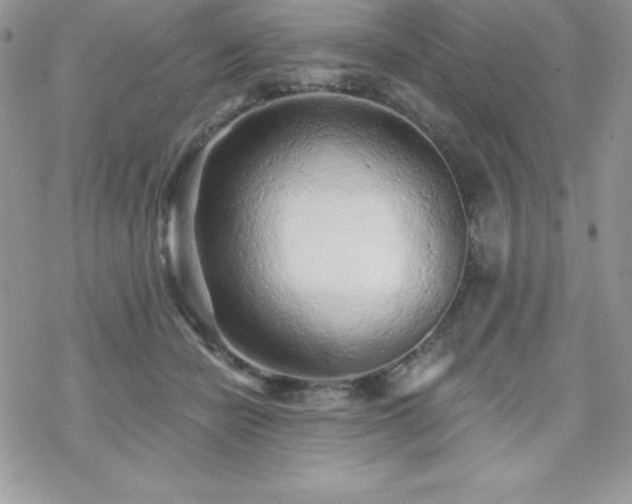 X0000070420462200606121350