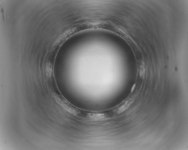 X0000070420476200606121350