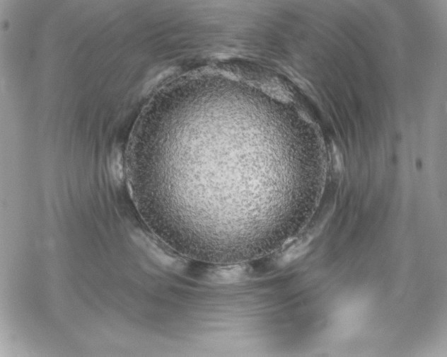 X0000070420479200606121350