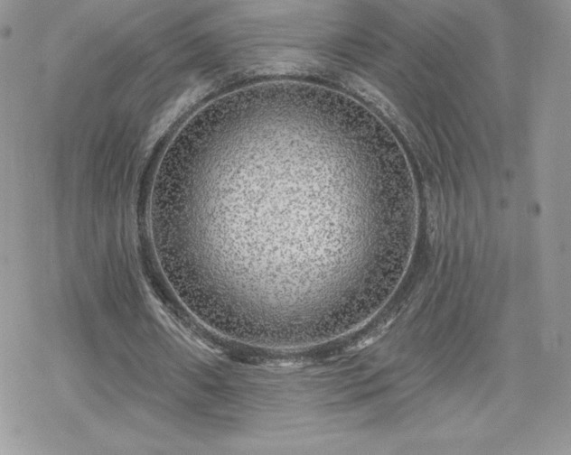 X0000070420482200606121349
