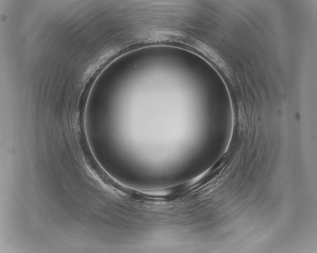 X0000070420485200606121349