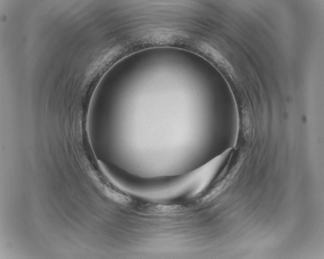 X0000070420493200606121349