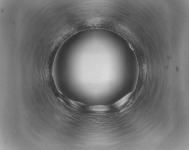 X0000070420508200606121349