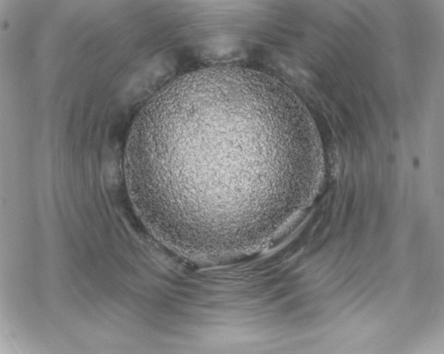 X0000070420515200606121349
