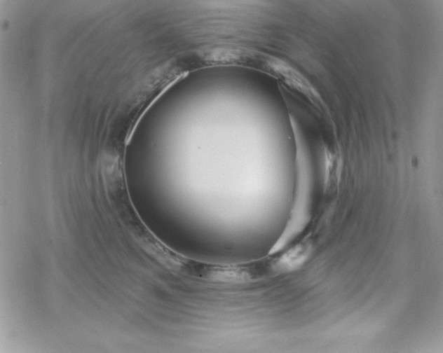 X0000070420521200606121349