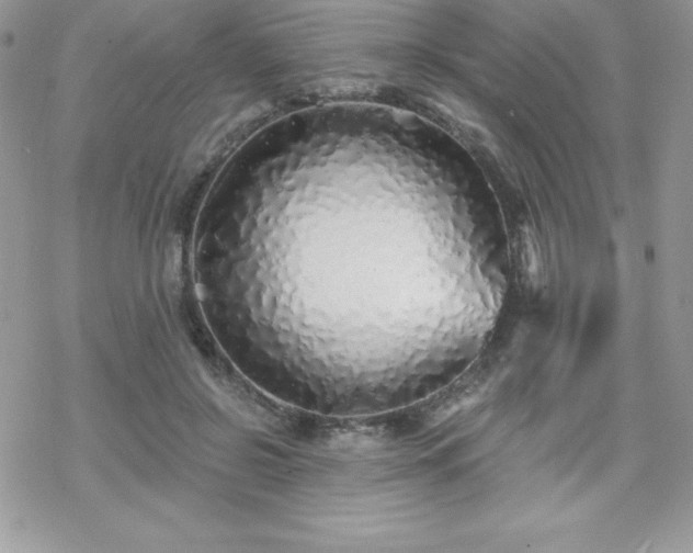 X0000070420550200606121348