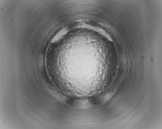 X0000070420554200606121348