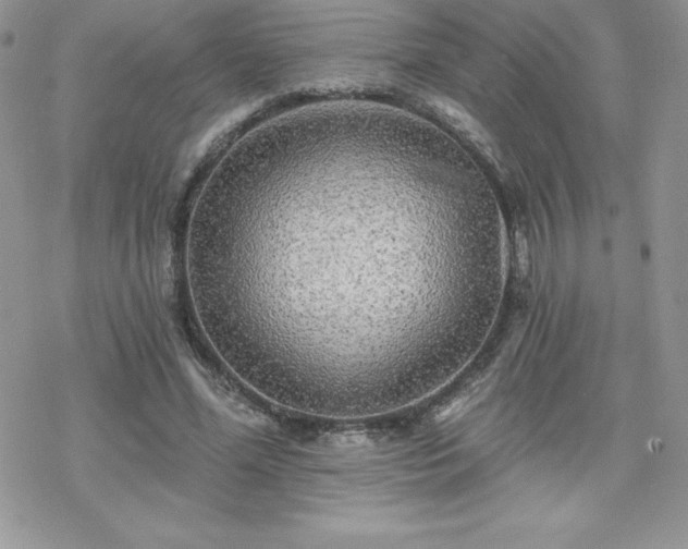 X0000070420588200606121348